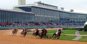 Betting On Horse Racing	