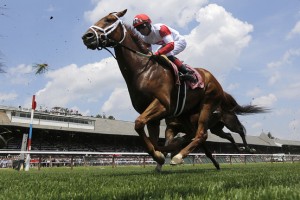 Horse Betting - Win, Place, and Show Wagers